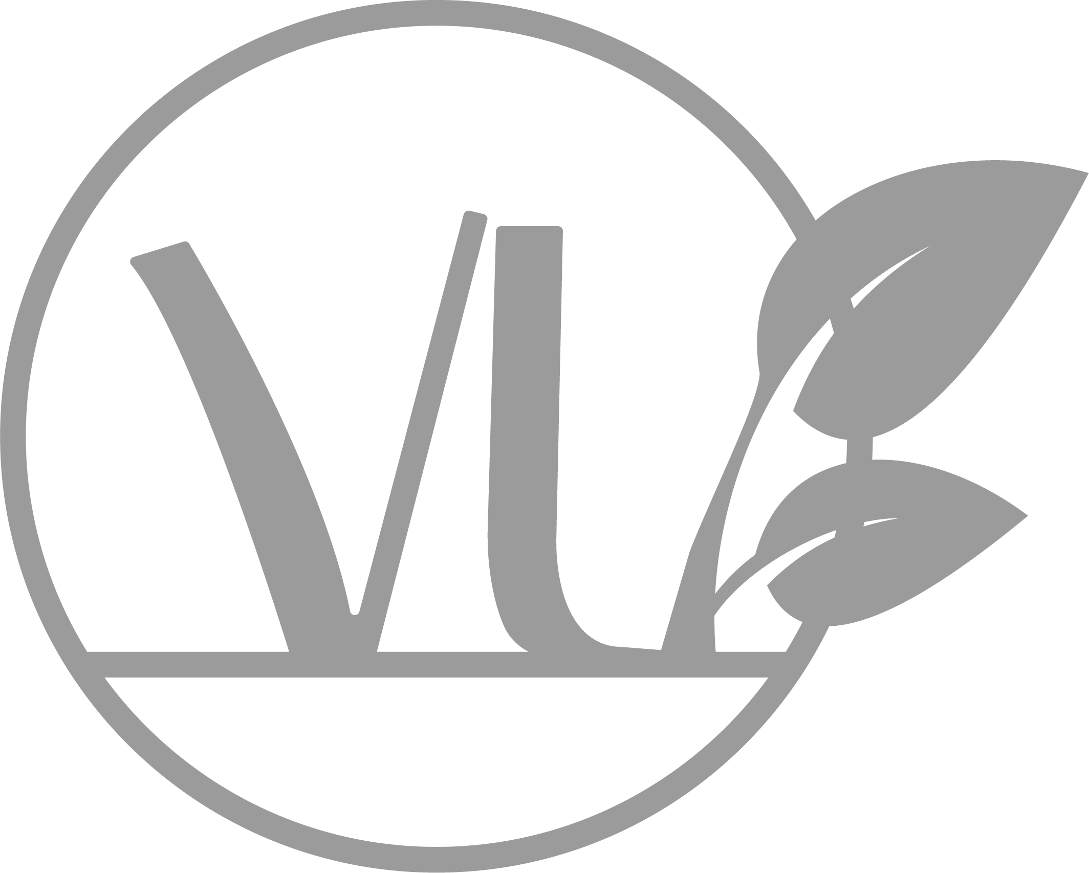 VisionLandback